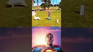 What a brave little dog 🐕 #starman #starmanmeme #superman