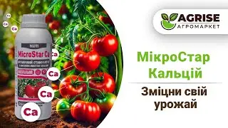 Кальцій для рослин, який швидко засвоюється. МікроСтар Кальцій