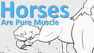 I'm Scared of Horses