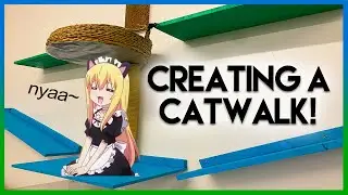 Creating a catwalk for my new cats.