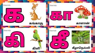 க கா கி கீ / uyir mei eluthukkal / Learn ka kaa ki kee in tamil for kids @Elatekidz-ql1yk