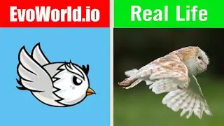 EvoWorld.io Vs Real Life (FlyOrDie.io) #3