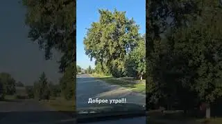 Доброе утро 🫶