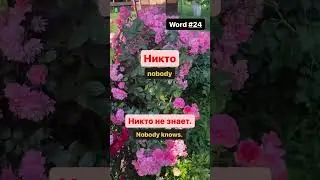 Learn 10 000 Russian Words in Context 