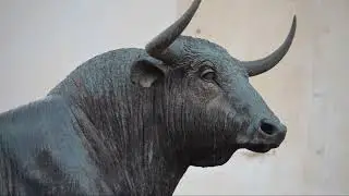 Unbelievable Facts About Bulls 🐂