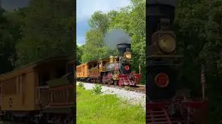 1800s STEAM! - No. 17