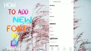 How to Add Fonts In PicArt