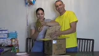 WE BOUGHT A $50 PINKGLOW PINEAPPLE