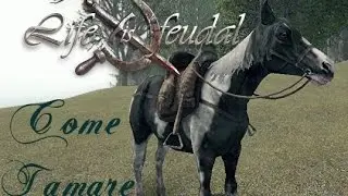 LIF TUTORIAL: COME CATTURARE/TAMARE IL CAVALLO!