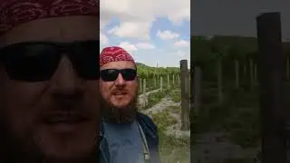 Давайте сажать сады и виноградники в память о предках #садвпамятьдеда, #9мая