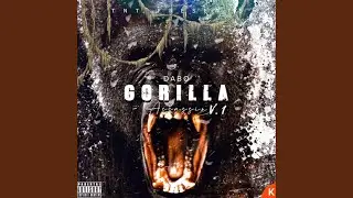 Intro (Gorilla Freestyle)