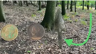 Treasure Hunt Antique Arrowhead I Found!!!