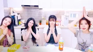 카코마린이랑 요리 해보자🍳| EN JP CN | SIGNAL 240819