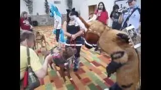 Telephone at RMFC 2014 Part 1 - Playing with the Charity Dogs