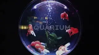 AQUARIUM - FREE CHILL TRAP BEAT