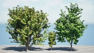 Realistic Rubber Tree 3D animation with unreal engine