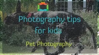 How to Photograph Your Pet Perfectly! 📸 | Photography Tutorial for Kids