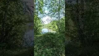 Для чего нужна хорошая музыка в машине-ЧТОБЫ В ЛЕСУ НЕ ЗАБЛУДИТЬСЯ #лето#2024#tt#avtozvuk#shorts ☝️