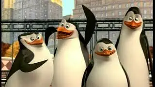 Opening to Madagascar: Escape 2 Africa 2009 DVD [True HQ]