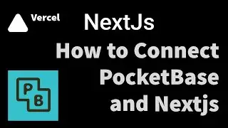 Connecting Pocketbase with Next.js: A Step-by-Step Guide 