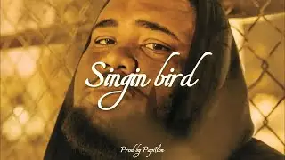 [FREE] Rod Wave Type Beat  "Singin Bird"