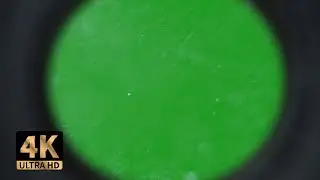 FREE 4K REALISTIC DOOR PEEPHOLE GREEN SCREEN | STOCK FOOTAGE Overlay منظار الباب