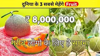 😱दुनिया के 3 सबसे महंगे फल | गरिब् लोग् कभी नेही खासक्ते हे | 1 minute knowledge series | ep : 1