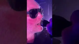 My Pain - Live in Hamburg 2024