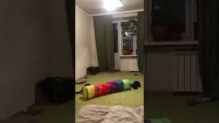 Мяу 🤪