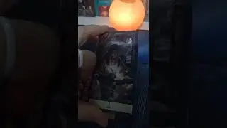 ❤️Нужна ли я ему?
