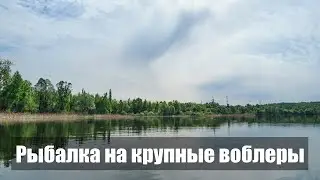 Крупные воблеры и жадная щука