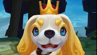 Prestige Fuzz Fizz.face