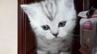 Неподдельное удивление.