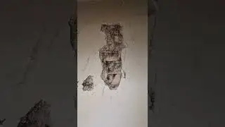 tenant finally out after years of squatting on landlord... walk through for what needs doing to rent