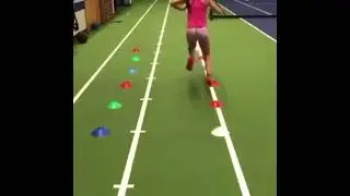 Speed and Plymetrics