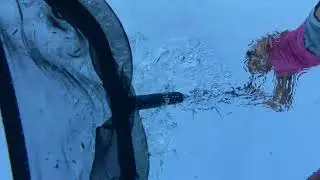 OOPS we dropped my Mom's phone in the pool!