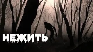 НЕЖИТЬ.Страшные истории на ночь