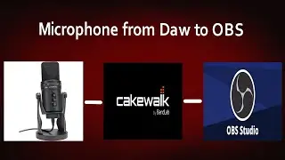 Mic from daw to OBS