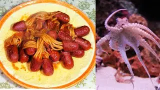 Octopus spaghetti recipe with sausage yummy pasta