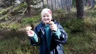 Тихая охота удалась