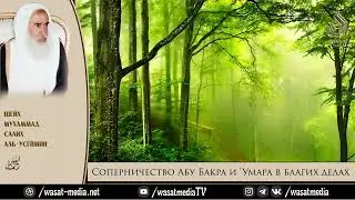 Соперничество Абу Бакра и 'Умара в благих делах | Каждый день история [16] | Шейх 'Усеймин ᴴᴰ