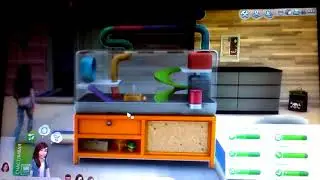 Играем в The Sims4