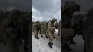 алеведержи сабаки кадыркины