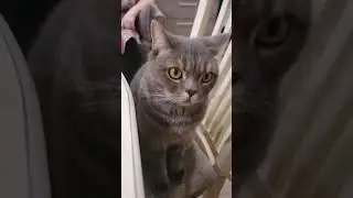Мамулечка дома❤️08.05.2024 г.