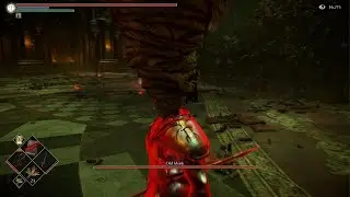 High level tank/dex build dominates