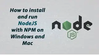 How to install and run NodeJS with NPM on Windows and Mac - Techisansar