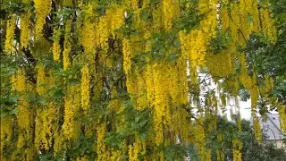 НОРВЕГИЯ 11. 07 - 12. 07. 2024