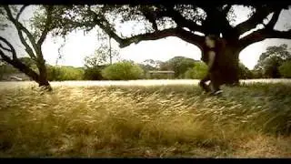 Film Look Test: Before and After Clips