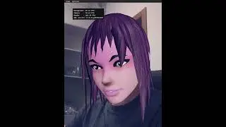 Landmarks for the Face 3D Effects (3D face model at over 150FPS)
