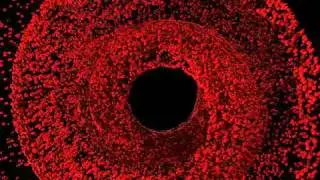 Lorenz 84 Strange Attractor driven by Bach